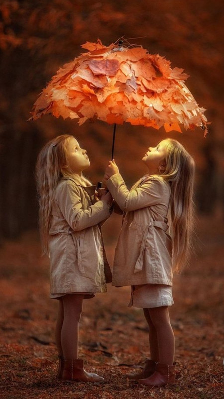 Screenshot_20230211_172430_Chrome