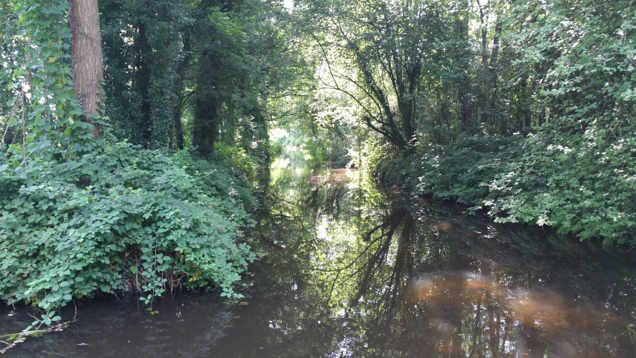 Oostendorper Molen 07 Haaksbergen
