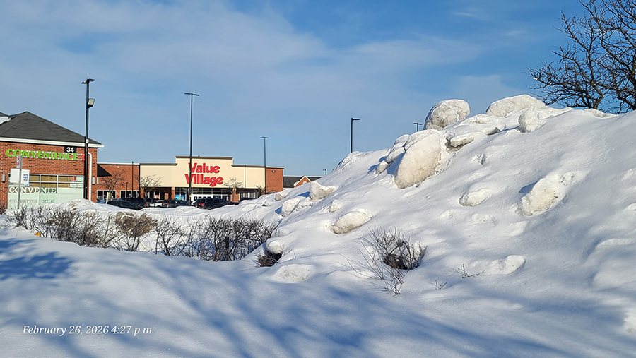 [Image: 20260226-162757.jpg]