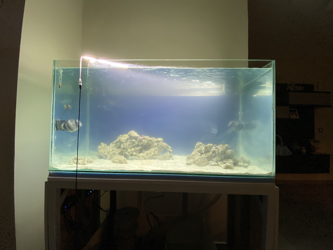 33CF501D-3506-4658-9D45-E51C9568E9F6