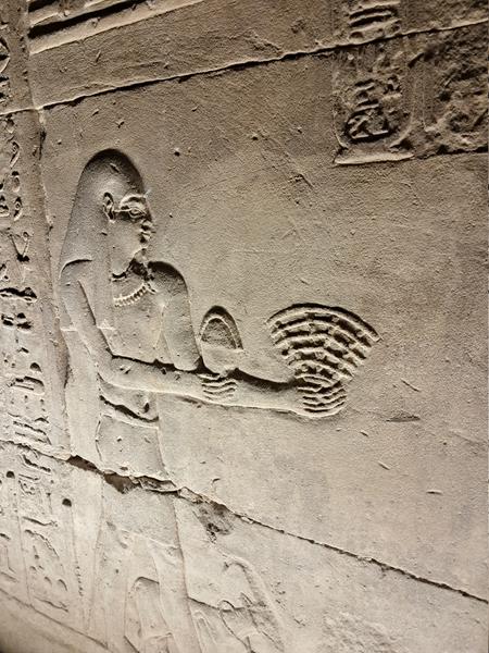 Al fin, Egipto. - Blogs de Egipto - Navegando por el Nilo. Templos Edfu y Kon Ombo. (8)