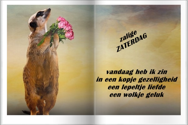 welkom opblog Bunic Jos