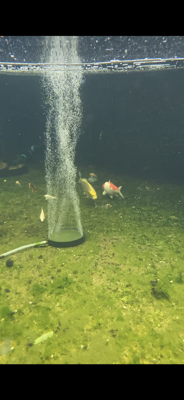 FDBA55E2-ED9D-4102-B165-3C6023A66AC1