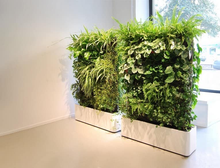 Ксанаду в интерьере преобразуйте свой дом с помощью экзотических растений