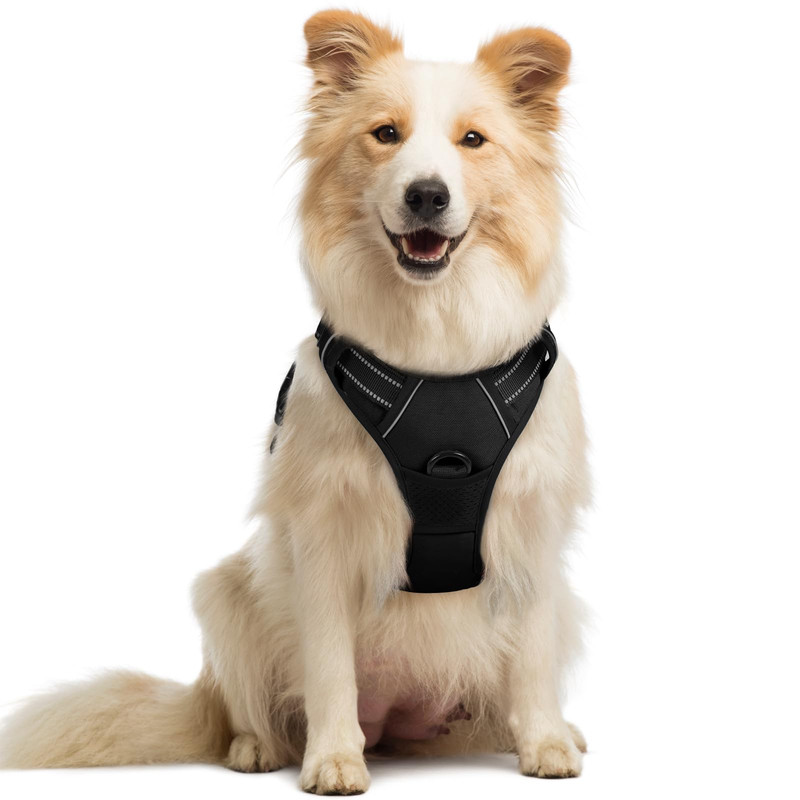 rabbitgoo No Pull Dog Harness Medium Black