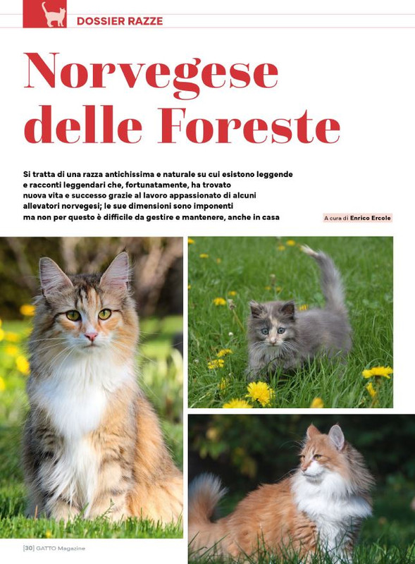 Ga Ma Apr-Mag 2025 (3)