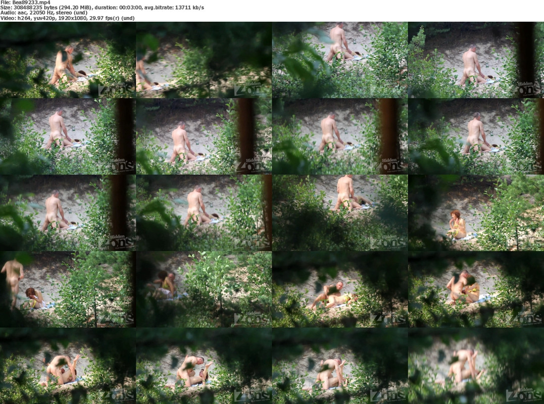 24112024235223screenshot