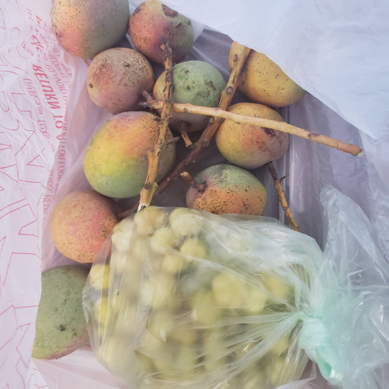 88ba3d71-11f8-40dc-b716-8e052fd25248