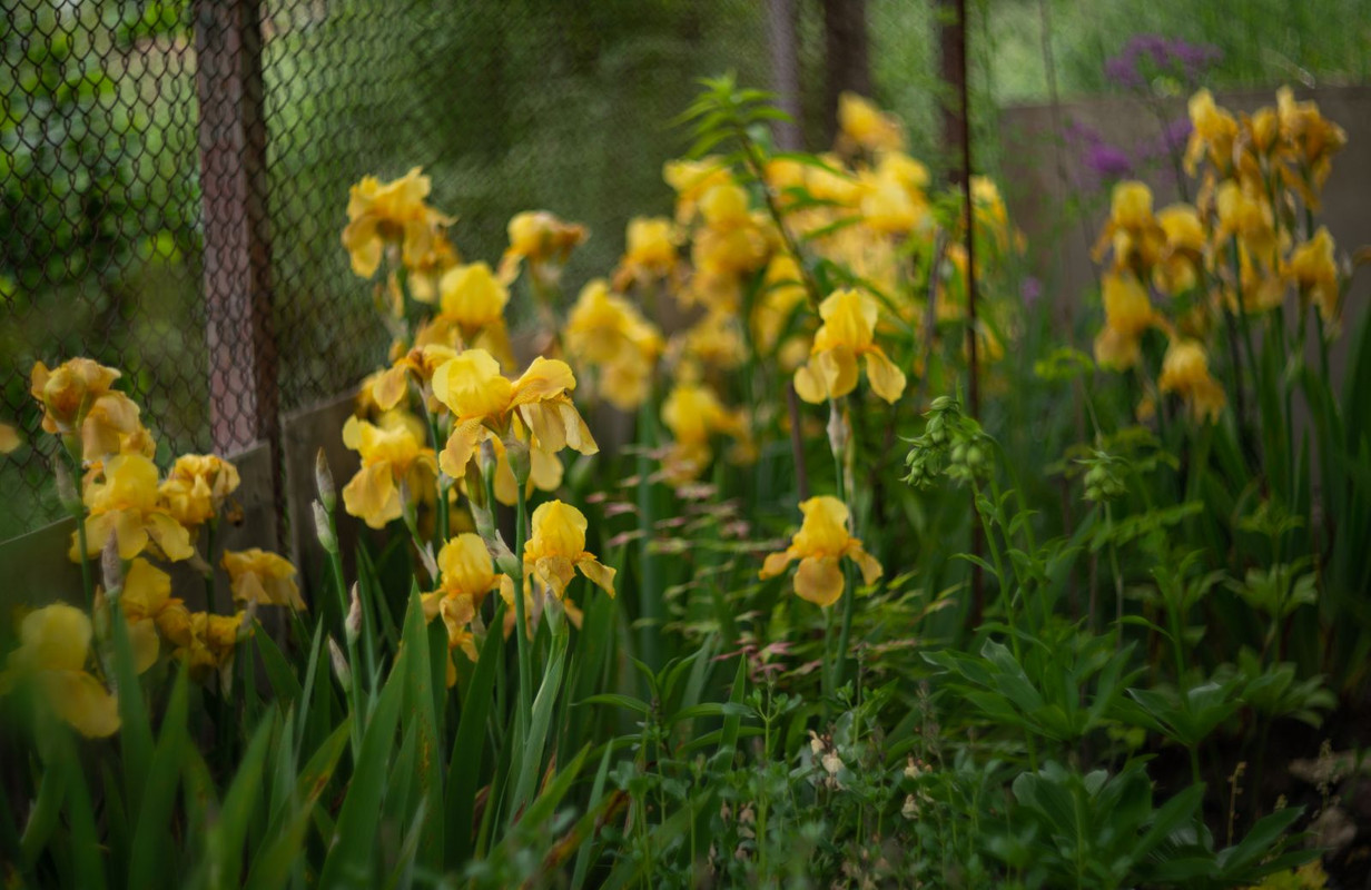 IMG-f9b562f622211959f42b75c02f6d538d-V
