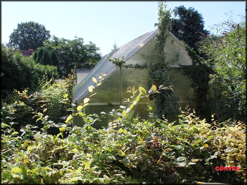 [Bild: Garten-06.jpg]