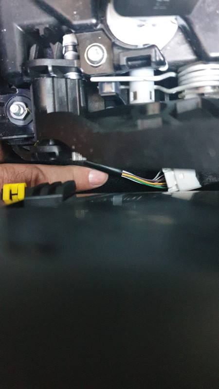 conector libre