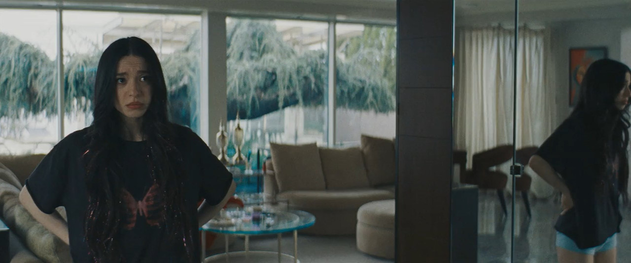 Anora 2024 WebRip [Hindi + English] 480p, 720p ESub Screenshot