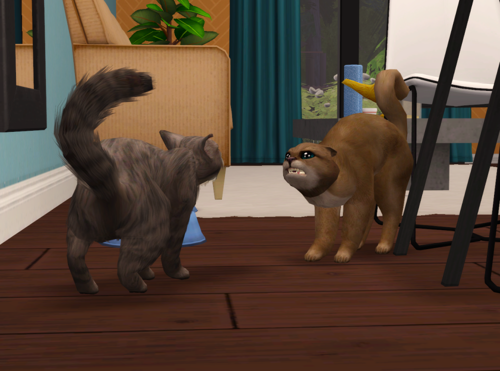 Sims2-EP9-RPC-2021-11-27-17-45-27-92