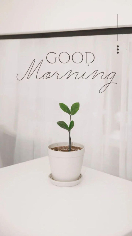 photo_2024-04-19_08-51-34