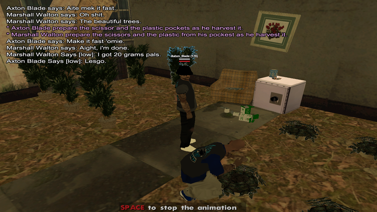 gans.png