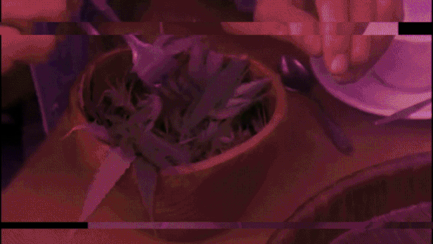 Amsterdam Cheech Chong