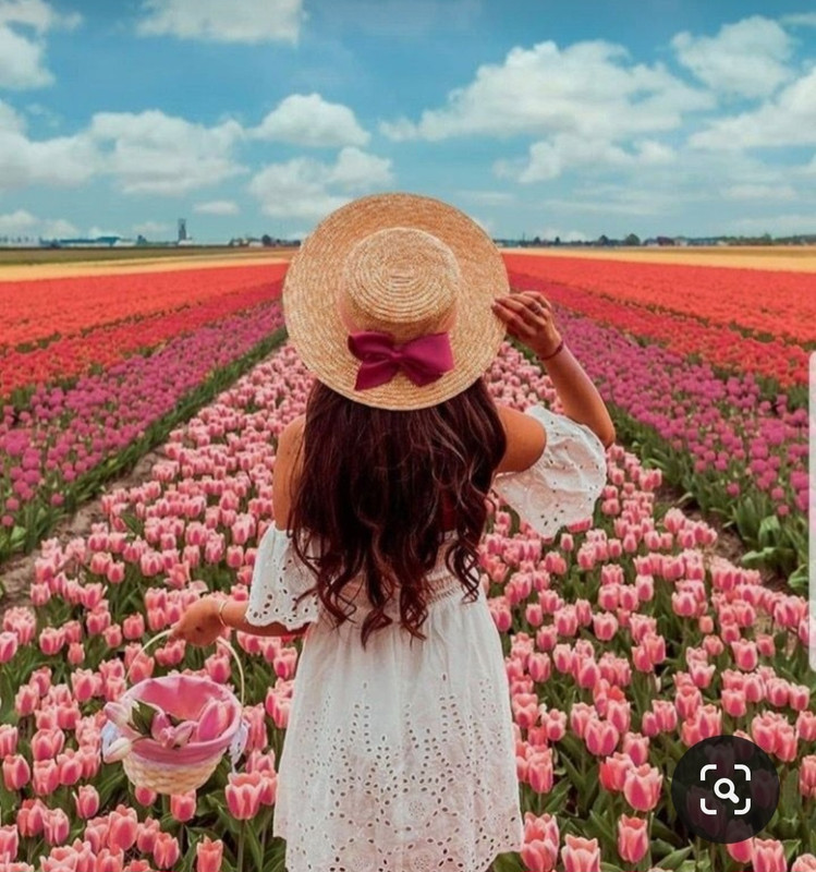 Screenshot_20231007_231524_Pinterest