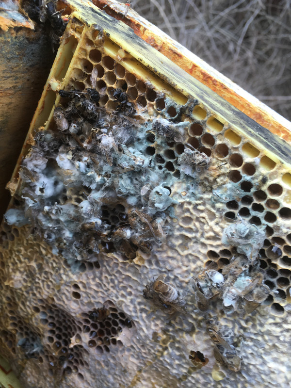 3BE5236B-15DA-4D7A-BEA9-6141A8524A03