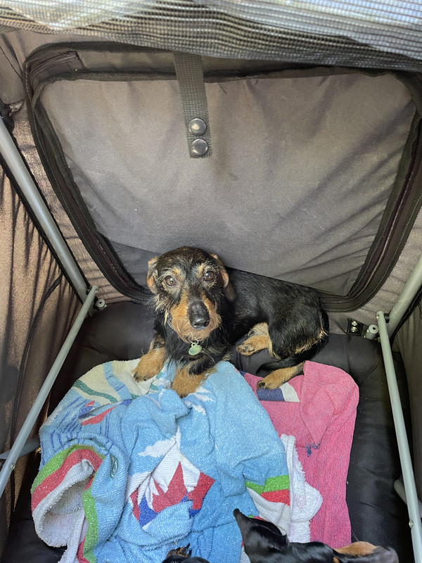 [Image: IMG-1704.jpg]