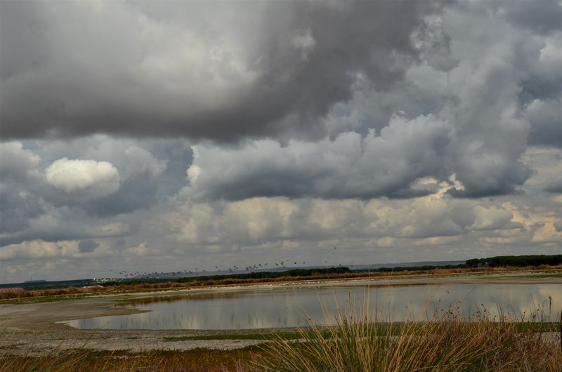LAS LAGUNAS DE RASO-15-9-2022 - Valladolid y sus pueblos-2012/2016 (7)