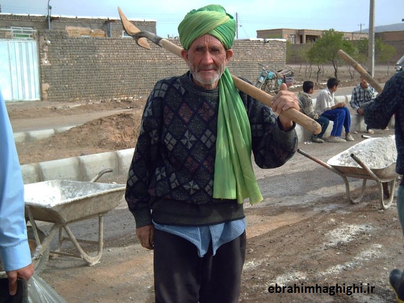 سید علیرضا میرتقی