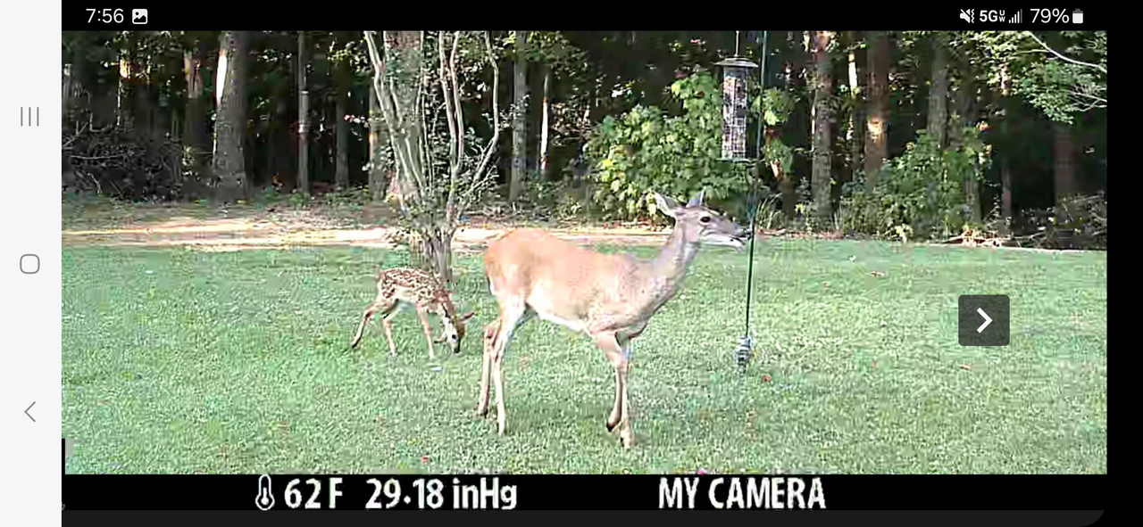 Screenshot_20240821_075620_Strike Force Wireless