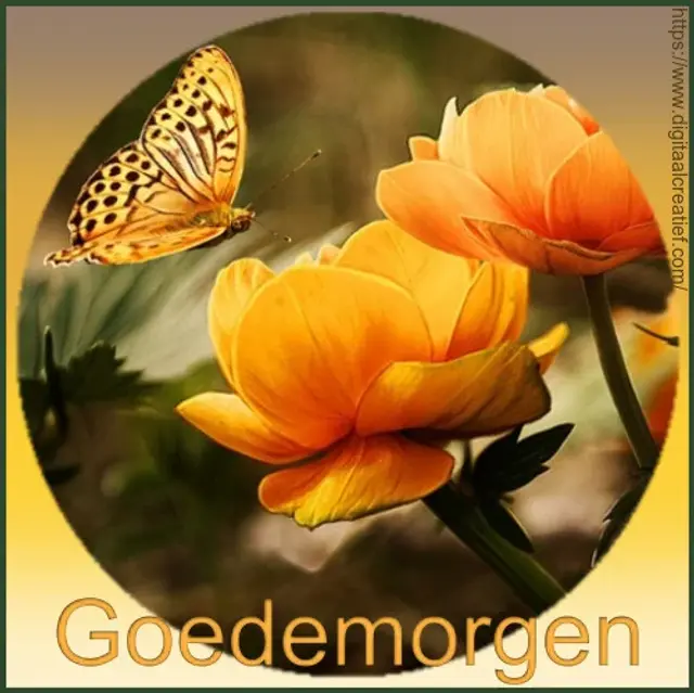 goedemorgen-met-bloem-en-vlinder-high.webp