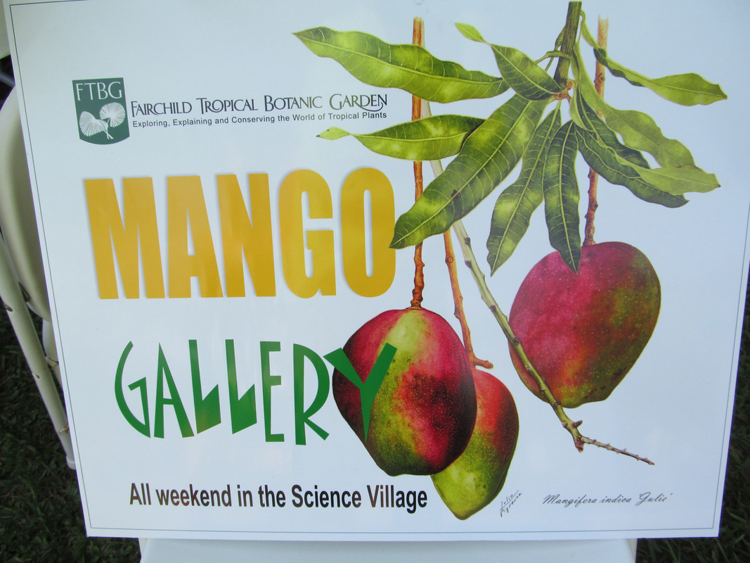 MangoFest2015 013