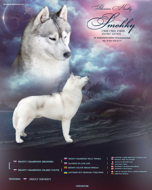 смокки презен2