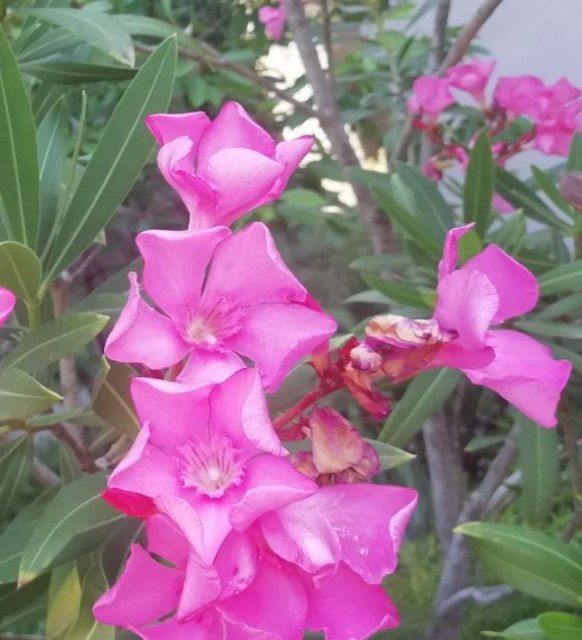 IMG_20220616_195702_001