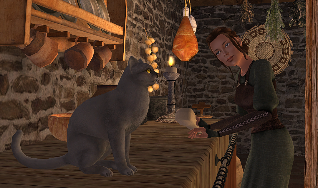 screenshot_2026_01_17_21_37_1