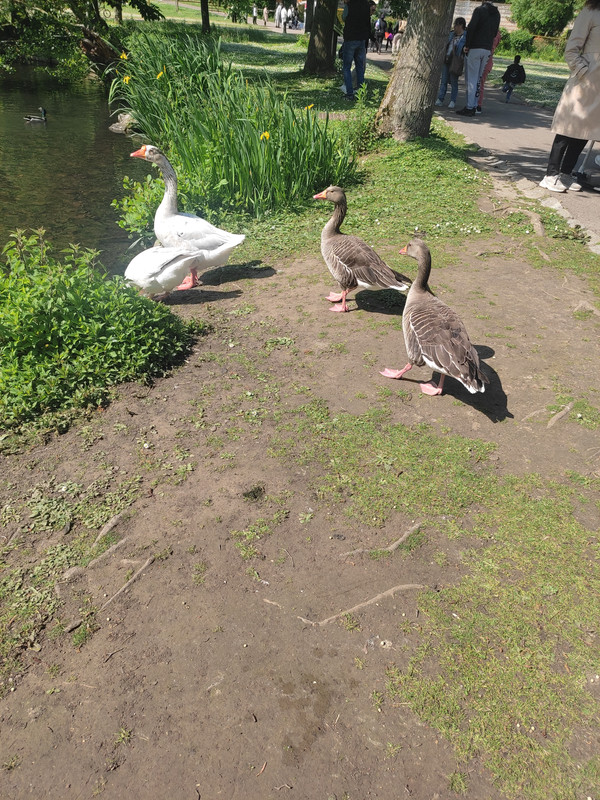 [Image: IMG-20250508-161758.jpg]