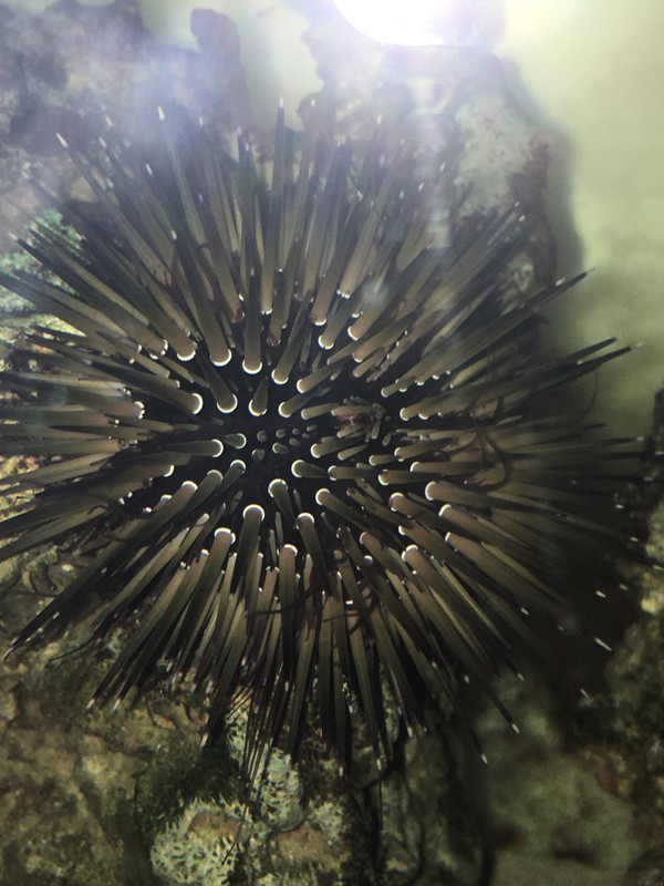 658F9DEC-500A-4176-B3C5-CFC092E65C6A