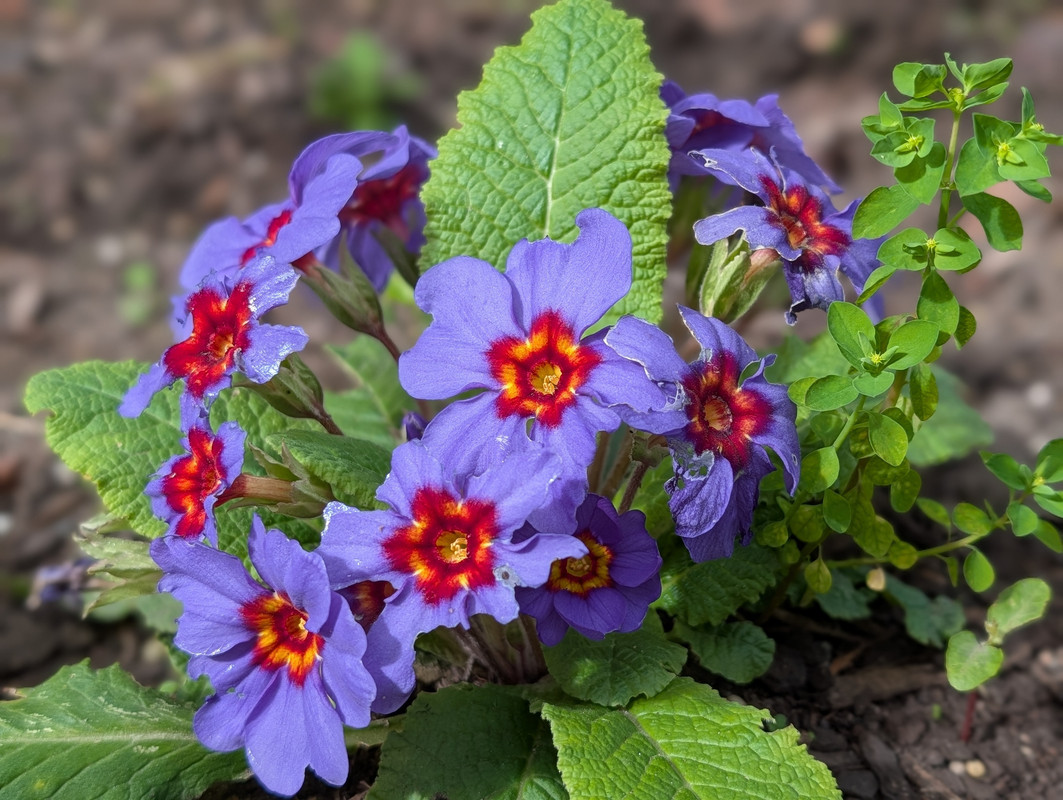 PXL_20250825_023645900.PORTRAIT