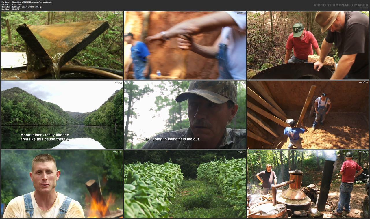 Moonshiners S02E03 Moonshiner Vs. Hogzilla.mkv