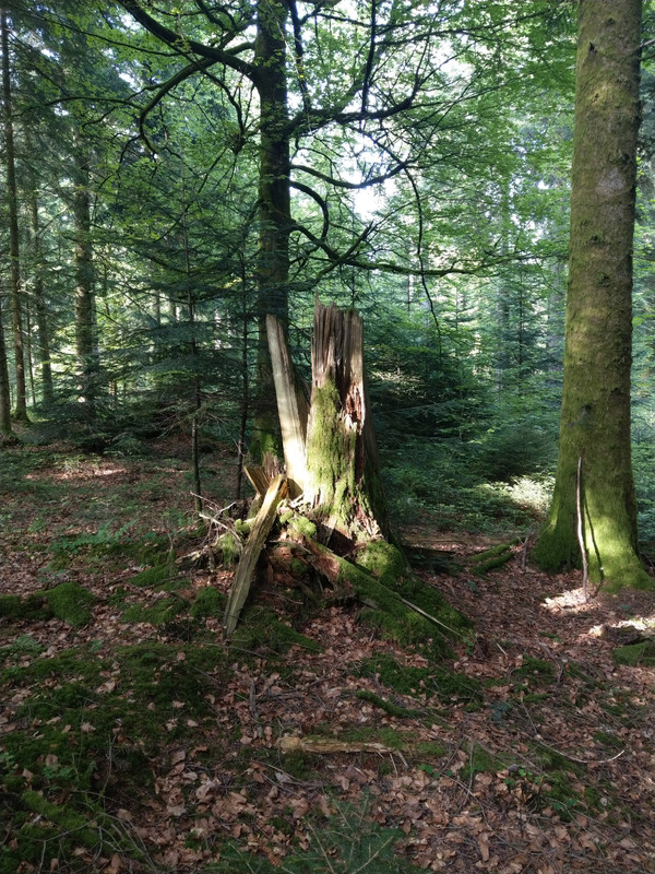 4E156D4B-E4E5-47C3-B31A-BCC3CCF9D056