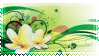 jasmine flowers green