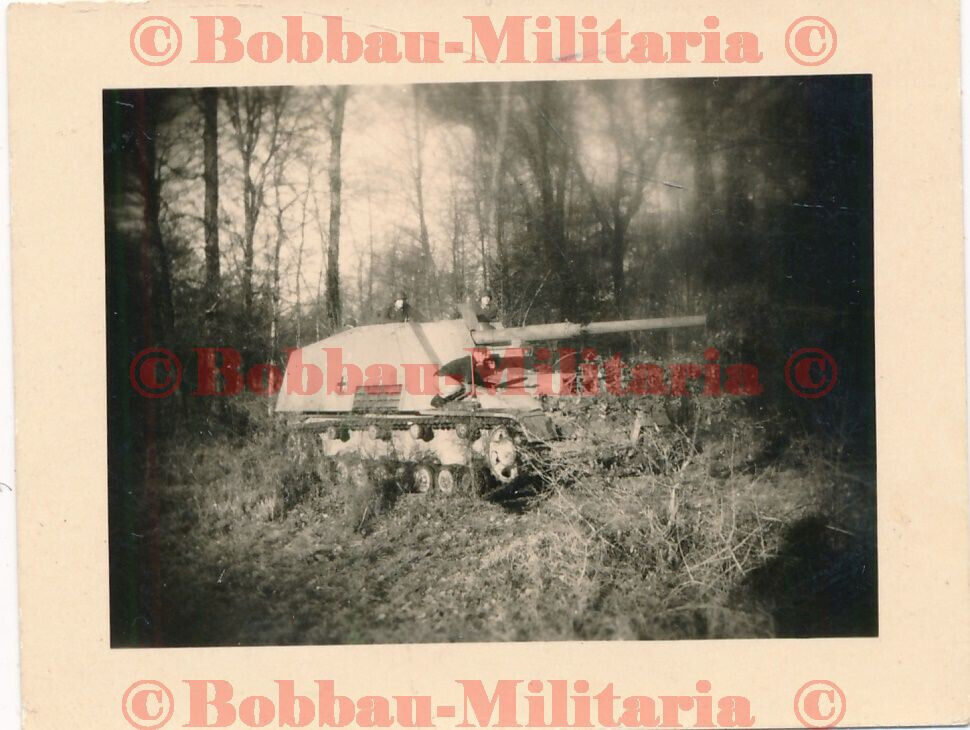 K961 Frankreich 1944 Panzerjäger Nashorn Hornisse SdKfz 164 Selbstfahrlafette !!