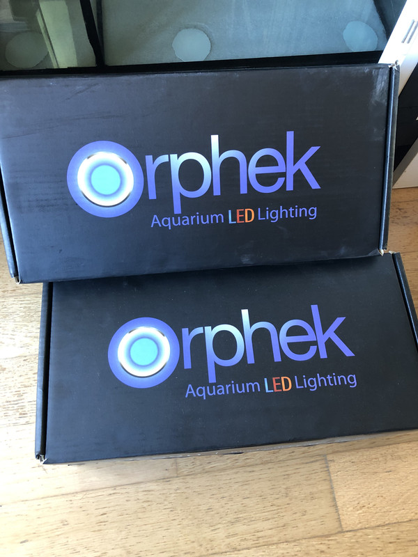 15DD8AE4-6990-487B-8B5C-379A34C0AB3C