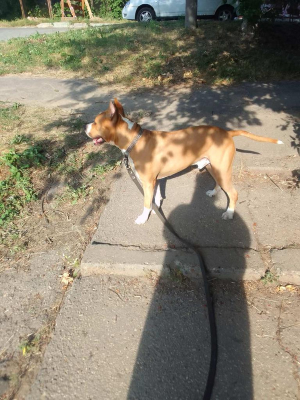 F6F3F7C2-CC5E-4385-86E6-64B9DE60CAA8