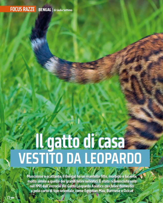 QuattroZampe Mar 2024 (7)