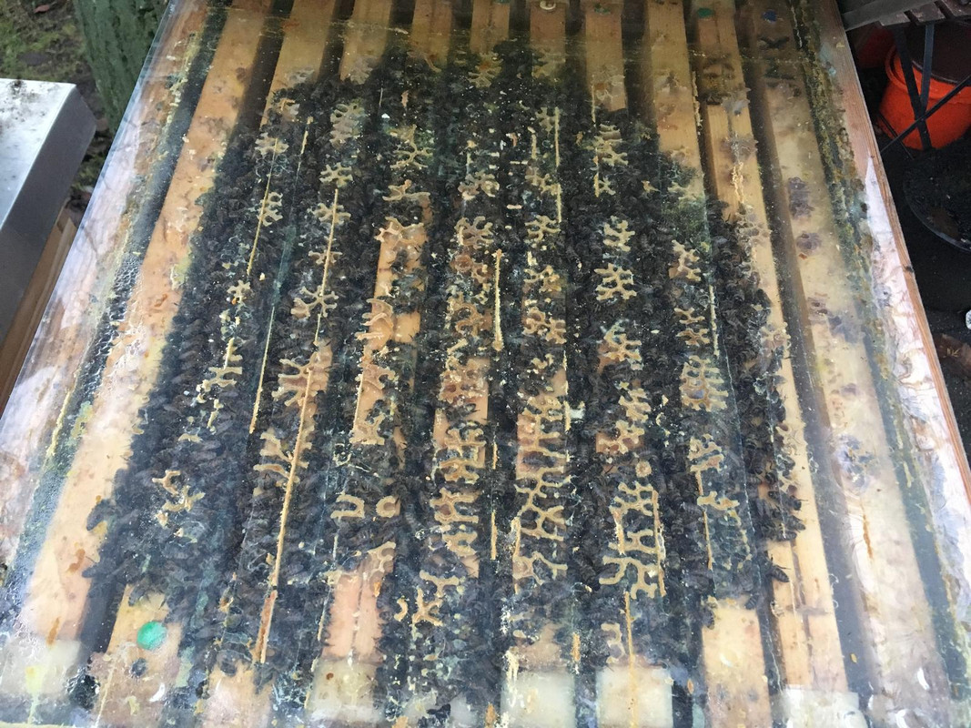 02537E9A-CC2F-403F-A92C-DF8A35AFEF78