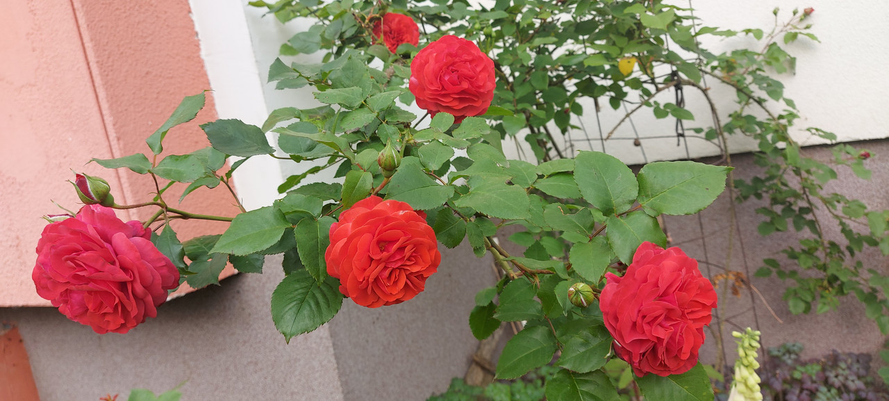 20210607_082159