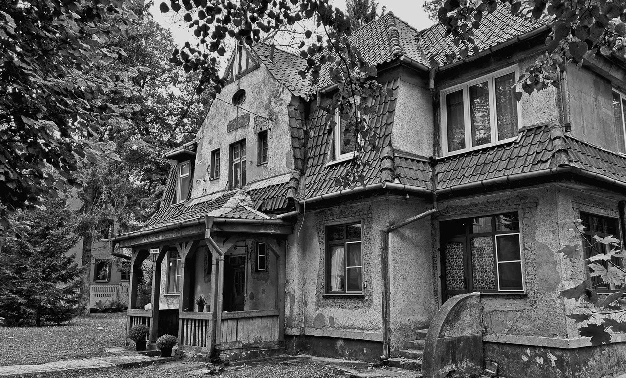 20241007_152156 копия копия