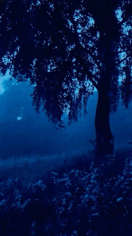 229080d60d6da54ed001bff1a7009c2b