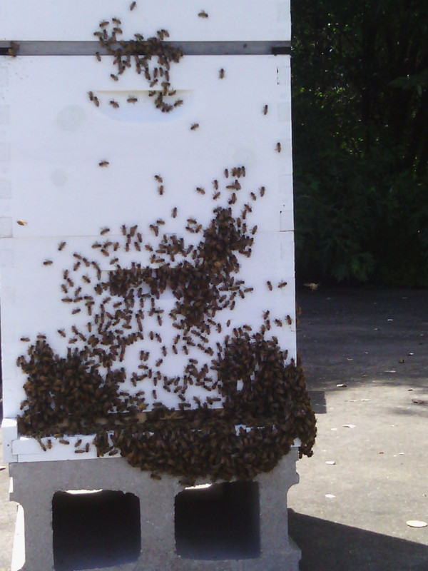 IMG_20140707_150939_151