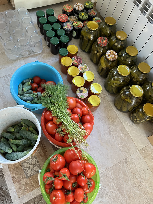 4C9CFC45-F6E8-478A-929A-8F53B2B37C65