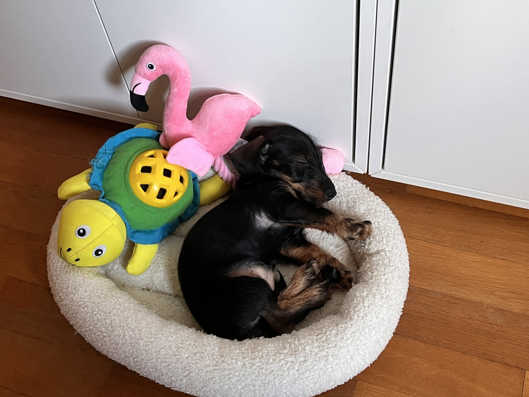 [Image: IMG-1546.jpg]