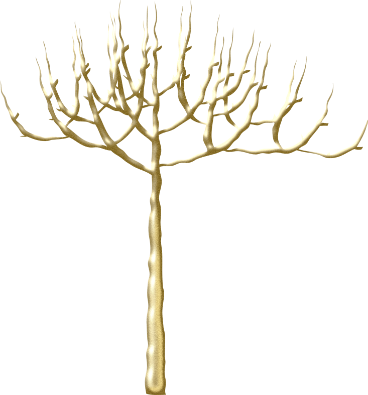 Christmasswishoffairydntree