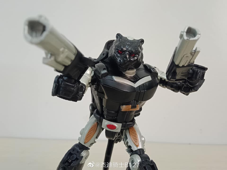 Transformers-War-For-Cybertron-Covert-Agent-Ravage-19